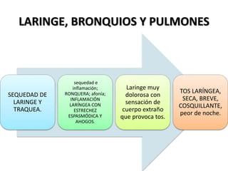 LARINGE, BRONQUIOS Y PULMONES
SEQUEDAD DE
LARINGE Y
TRAQUEA.
sequedad e
inflamación;
RONQUERA; afonía;
INFLAMACIÓN
LARÍNGEA CON
ESTRECHEZ
ESPASMÓDICA Y
AHOGOS.
Laringe muy
dolorosa con
sensación de
cuerpo extraño
que provoca tos.
TOS LARÍNGEA,
SECA, BREVE,
COSQUILLANTE,
peor de noche.
 
