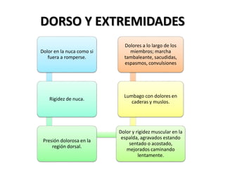 DORSO Y EXTREMIDADES
Dolor en la nuca como si
fuera a romperse.
Rigidez de nuca.
Presión dolorosa en la
región dorsal.
Dolor y rigidez muscular en la
espalda, agravados estando
sentado o acostado,
mejorados caminando
lentamente.
Lumbago con dolores en
caderas y muslos.
Dolores a lo largo de los
miembros; marcha
tambaleante, sacudidas,
espasmos, convulsiones
 