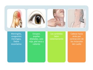 Meningitis,
congestión
meníngea,
fiebre
escarlatina
Estupor,
pupilas
dilatadas, cara
roja, piel seca y
caliente
Las carótidas
laten
violentamente
Cabeza hacia
atrás por
contracción de
los músculos
del cuello
 