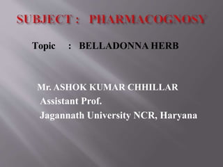 Topic : BELLADONNA HERB
Mr. ASHOK KUMAR CHHILLAR
Assistant Prof.
Jagannath University NCR, Haryana
 