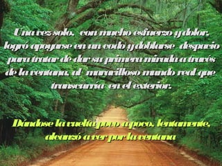 Una vez solo, con mucho eessffuueerrzzoo yy ddoolloorr,, 
llooggrróó aappooyyaarrssee eenn uunn ccooddoo yy ddoobbllaarrssee ddeessppaacciioo 
ppaarraa ttrraattaarr ddee ddaarr ssuu pprriimmeerraa mmiirraaddaa aa ttrraavvééss 
ddee llaa vveennttaannaa,, aall mmaarraavviilllloossoo mmuunnddoo rreeaall qquuee 
ttrraannssccuurrrrííaa eenn eell eexxtteerriioorr.. 
DDáánnddoossee llaa vvuueellttaa ppooccoo aa ppooccoo,, lleennttaammeennttee,, 
aallccaannzzóó aa vveerr ppoorr llaa vveennttaannaa 
 