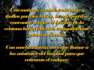 Una mañana, cuando ttrraaííaa aagguuaa yy 
ttooaallllaass ppaarraa llooss bbaaññooss,, llaa eennffeerrmmeerraa ssee 
eeoonnccoonnttrróó ccoonnqquuee eell hhoommbbrree ddee llaa 
vveennttaannaa hhaabbííaa ffaalllleecciiddoo ttrraannqquuiillaammeennttee 
mmiieennttrraass ddoorrmmííaa.. 
CCoonn mmuucchhaa ttrriisstteezzaa,, ttuuvvoo qquuee llllaammaarr aa 
llooss aassiisstteenntteess ddeell hhoossppiittaall ppaarraa qquuee 
rreettiirraarraann eell ccaaddaavveerr.. 
 
