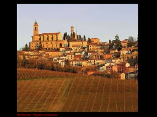 Monferrato - Vignale al tramonto 