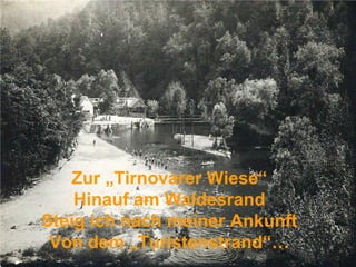 Zur „Tirnovarer Wiese“
    Hinauf am Waldesrand
Steig ich nach meiner Ankunft
 Von dem „Turistenstrand“…
 