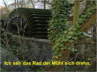Ich seh´das Rad der Mühl´sich drehn,
 