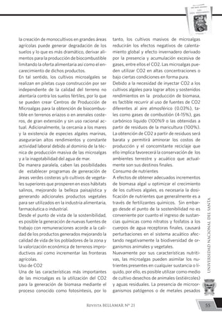 la creación de monocultivos en grandes áreas
agrícolas puede generar degradación de los
suelos y lo que es más dramático, derivar ali-
mentos para la producción de biocombustible
limitando la oferta alimentaria así como el en-
carecimiento de dichos productos.
En tal sentido, los cultivos microalgales se
realizan en piletas cuya construcción por ser
independiente de la calidad del terreno no
atentaría contra los suelos fértiles, por lo que
se pueden crear Centros de Producción de
Microalgas para la obtención de biocombus-
tible en terrenos eriazos o en arenales coste-
ros, de gran extensión y sin uso racional ac-
tual. Adicionalmente, la cercanía a los mares
y la existencia de especies algales marinas,
asegurarían altos rendimientos y constante
actividad laboral debido al dominio de la téc-
nica de producción masiva de las microalgas
y a la inagotabilidad del agua de mar.
De manera paralela, caben las posibilidades
de establecer programas de generación de
áreas verdes costeras y/o cultivos de vegeta-
les superiores que prosperen en esos hábitats
salinos, mejorando la belleza paisajística y
generando adicionales productos vegetales
para ser utilizados en la industria alimentaria,
farmacéutica o industrial.
Desde el punto de vista de la sostenibilidad,
es posible la generación de nuevas fuentes de
trabajo con remuneraciones acorde a la cali-
dad de los productos generados mejorando la
calidad de vida de los pobladores de la zona y
la valorización económica de terrenos impro-
ductivos así como incrementar las fronteras
agrícolas.
Uso de CO2
Una de las características más importantes
de las microalgas es la utilización del CO2
para la generación de biomasa mediante el
proceso conocido como fotosíntesis, por lo
tanto, los cultivos masivos de microalgas
reducirán los efectos negativos de calenta-
miento global y efecto invernadero derivado
por la presencia y acumulación excesiva de
gases, entre ellos el CO2. Las microalgas pue-
den utilizar CO2 en altas concentraciones o
bajo ciertas condiciones en forma pura.
Debido a la necesidad de inyectar CO2 a los
cultivos algales para lograr altos y sostenidos
rendimientos en la producción de biomasa,
es factible recurrir al uso de fuentes de CO2
diferentes al aire atmosférico (0.03%), ta-
les como gases de combustión (4-15%), gas
carbónico líquido (100%9 o las obtenidas a
partir de residuos de la maricultura (100%).
La obtención de CO2 a partir de residuos será
barata y permitirá aminorar los costos de
producción y el concomitante reciclaje que
ello implica favorecerá la conservación de los
ambientes terrestre y acuático que actual-
mente son sus destinos finales.
Consumo de nutrientes
A efectos de obtener adecuados incrementos
de biomasa algal u optimizar el crecimiento
de los cultivos algales, es necesaria la dosi-
ficación de nutrientes que generalmente es a
través de fertilizantes químicos. Sin embar-
go desde el punto de la sostenibilidad no es
conveniente por cuanto el ingreso de sustan-
cias químicas como nitratos y fosfatos a los
cuerpos de agua receptoras finales, causará
perturbaciones en el sistema acuático afec-
tando negativamente la biodiversidad de or-
ganismos animales y vegetales.
Nuevamente por sus características nutriti-
vas, las microalgas pueden asimilar los nu-
trientes presentes en cualquier sustancia o lí-
quido, por ello, es posible utilizar como medio
de cultivo desechos de animales (estiércoles)
y aguas residuales. La presencia de microor-
ganismos patógenos o de metales pesados
55
UNIVERSIDADNACIONALDELSANTA
Revista BELLAMAR Nº 21
 