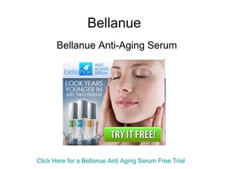 Bellanue Bellanue Anti-Aging Serum Click Here for a  Bellanue  Anti Aging Serum Free Trial 