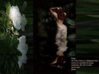 Bella, de finas manos y delgados pies como un caballito de plata,  andando, flor del mundo,  así te veo,  Bella. 