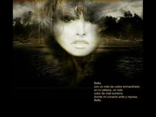 Bella, con un nido de cobre enmarañado en tu cabeza, un nido  color de miel sombría  donde mi corazón arde y reposa,  Bella. 