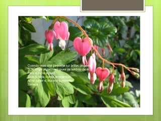 Cuando veas una pequeña luz brillar, ¡síguela!
Si te dirige al pantano, pues ya saldrás de él.
Pero si no la sigues,
Toda tu vida vivirás arrepentido
Al no saber si ésa era tu estrella.
Séneca
 