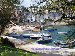 Sont tombés dans l’eau, comme deux oiseaux Sous le baiser chaud de leurs bouches tendres 