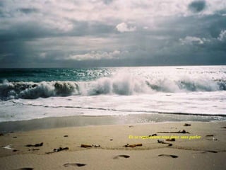 Ils se regardaient tous deux sans parler 