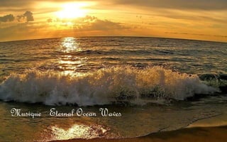 Musique Eternal Ocean Waves