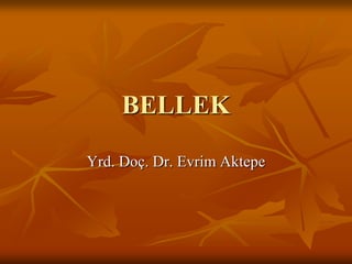 BELLEK

Yrd. Doç. Dr. Evrim Aktepe
 