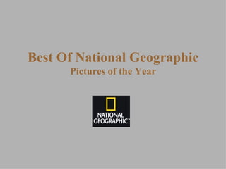 Best Of National Geographic Pictures of the Year 