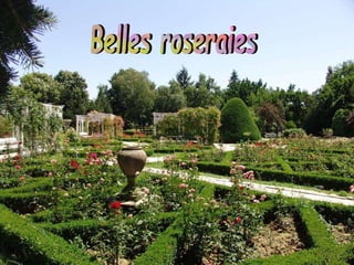 Belles roseraies 