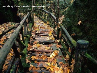 pe r a ls qui vindran darrere nostre... 