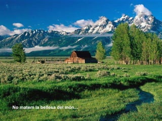 No matem la bellesa del món... 