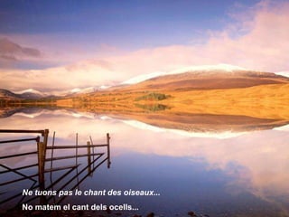 Ne tuons pas le chant des oiseaux... No matem el cant dels ocells ... 