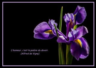 Belles Citations Avec De Belles Fleurs Ja