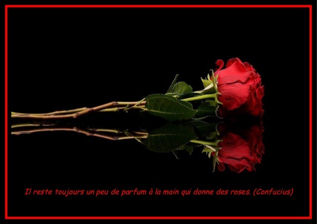 Téléchargement gratuit Images Belles Citations Avec De Belles Fleurs Ja actualisé salutations