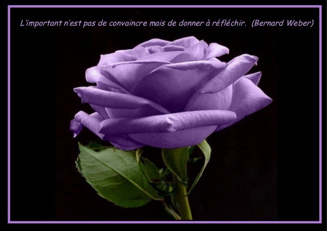 Image De Citation Belle Image Avec Citation