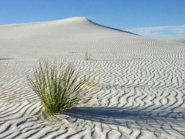 Ali Tamay
Istanbul
19.11.2009
 