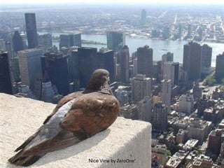 Nice  View by ZeroOne' 