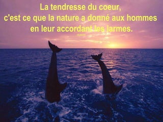La tendresse du coeur,  c'est ce que la nature a donné aux hommes  en leur accordant les larmes. (Suétone)  