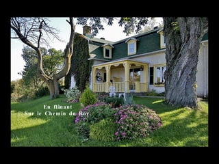 En flânant
S ur le Che m in du Ro y .
 