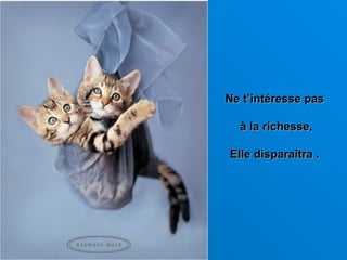 Ne t’intéresse pasNe t’intéresse pas
à la richesse,à la richesse,
Elle disparaîtra .Elle disparaîtra .
 