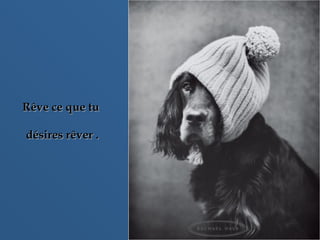 Rêve ce que tuRêve ce que tu
désires rêver .désires rêver .
 