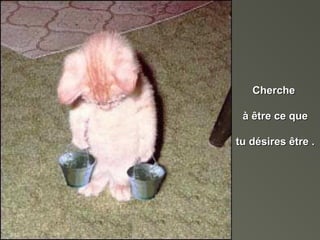 ChercheCherche
à être ce queà être ce que
tu désires être .tu désires être .
 