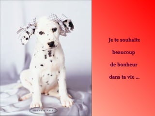 Je te souhaiteJe te souhaite
beaucoupbeaucoup
de bonheurde bonheur
dans ta vie ...dans ta vie ...
 
