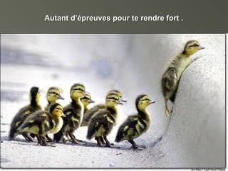 Autant d’épreuves pour te rendre fort .Autant d’épreuves pour te rendre fort .
 