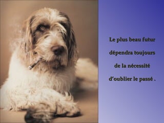 Le plus beau futurLe plus beau futur
dépendra toujoursdépendra toujours
de la nécessitéde la nécessité
d’oublier le passé .d’oublier le passé .
 
