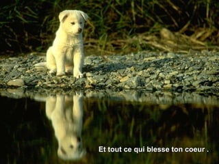 Et tout ce qui blesse ton coeur .Et tout ce qui blesse ton coeur .
 