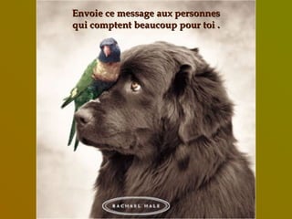 Envoie ce message aux personnesEnvoie ce message aux personnes
qui comptent beaucoup pour toi .qui comptent beaucoup pour toi .
 