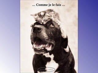 …… Comme je le faisComme je le fais ……
 
