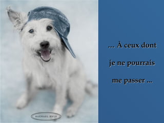 …… À ceux dontÀ ceux dont
je ne pourraisje ne pourrais
me passer ...me passer ...
 