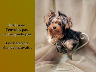 Et si tu neEt si tu ne
l’envoies pas,l’envoies pas,
ne t’inquiète pas,ne t’inquiète pas,
il ne t’arriverail ne t’arrivera
rien de mauvais .rien de mauvais .
 