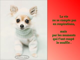 La vieLa vie
ne se compte pasne se compte pas
en respirations,en respirations,
maismais
par les momentspar les moments
qui t’ont coupéqui t’ont coupé
le souffle .le souffle .
 