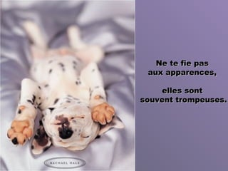 Ne te fie pasNe te fie pas
aux apparences,aux apparences,
elles sontelles sont
souvent trompeusessouvent trompeuses..
 