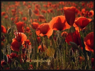 Y se manifiesta  
