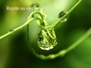 Repite su ejercicio  
