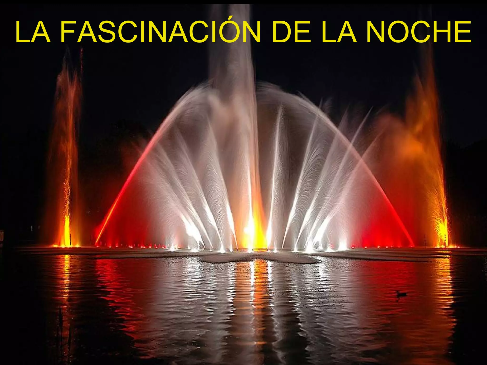 LA FASCINACIÓN DE LA NOCHE
