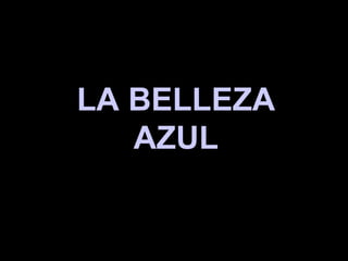 LA BELLEZA  AZUL  