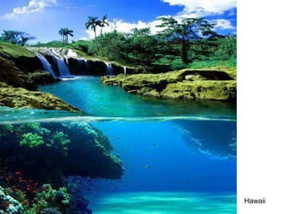 Hawaii 
 