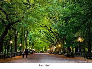 Park. NYC 
 