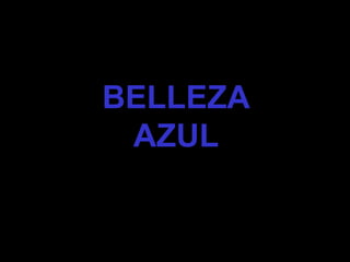 BELLEZA  AZUL  